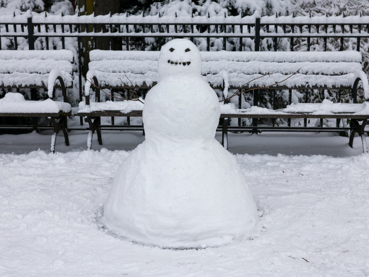 internacional-fotografias-parques-nueva-york-nevados-afp-1