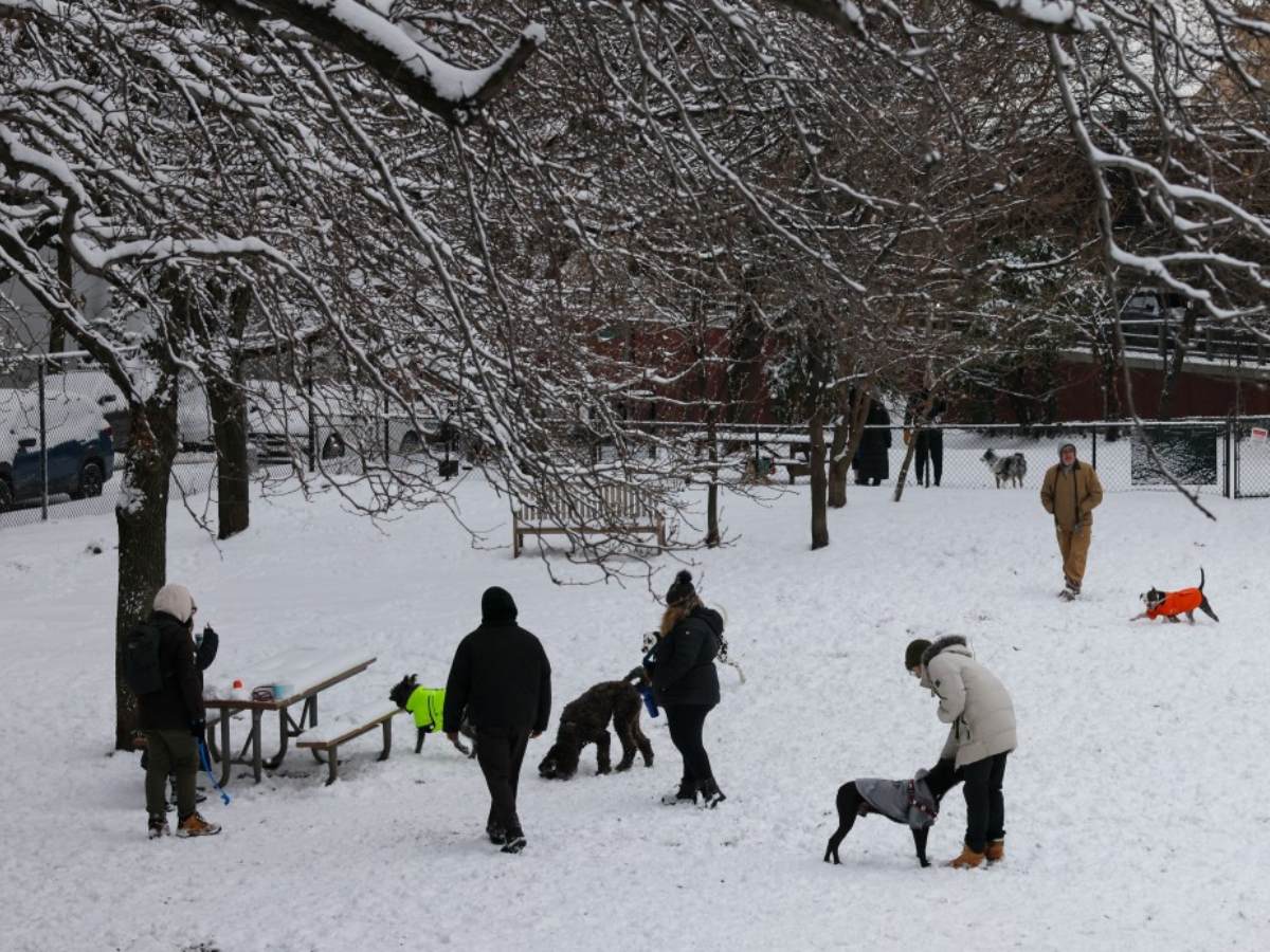 internacional-fotografias-parques-nueva-york-nevados-afp (3)