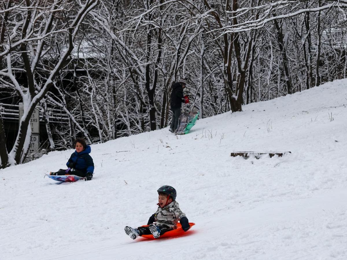 internacional-fotografias-parques-nueva-york-nevados-afp (4)