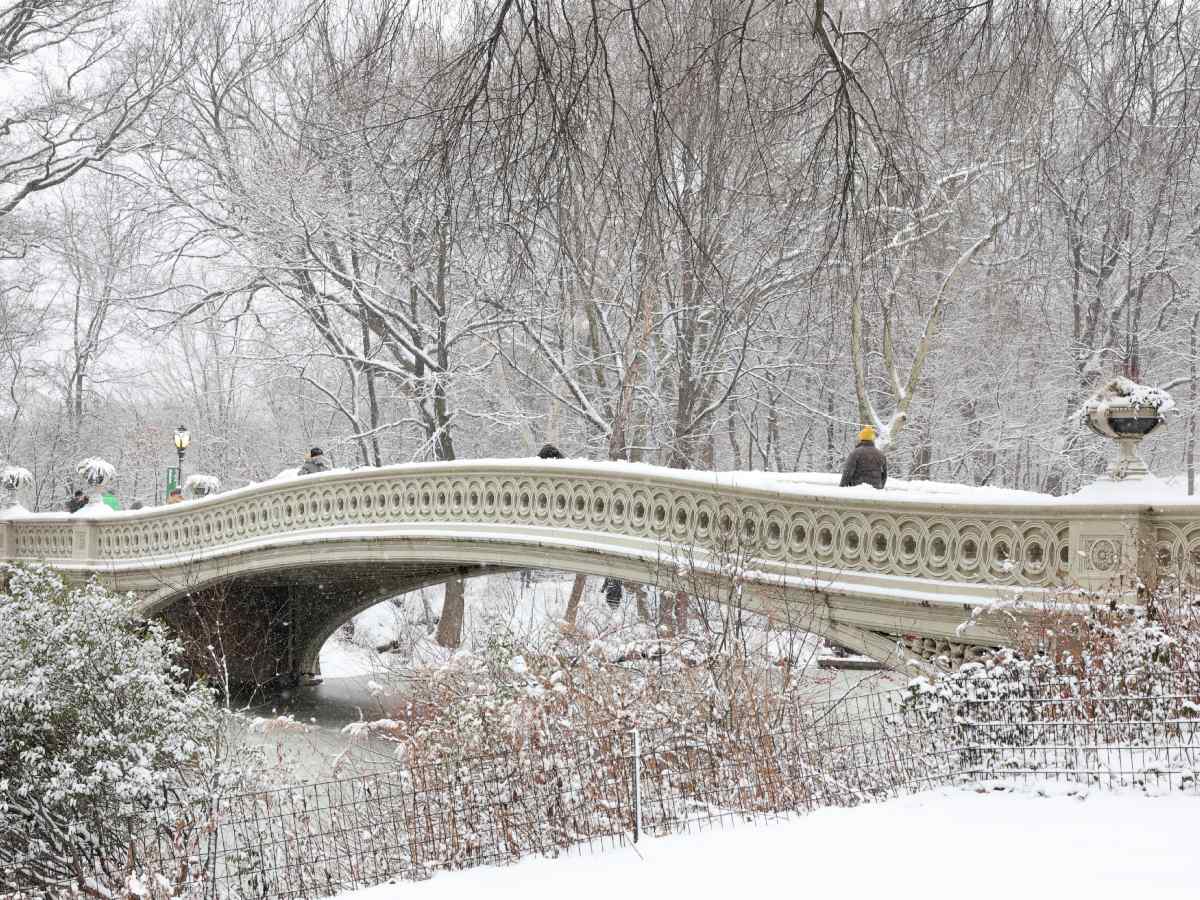 internacional-fotografias-parques-nueva-york-nevados-afp