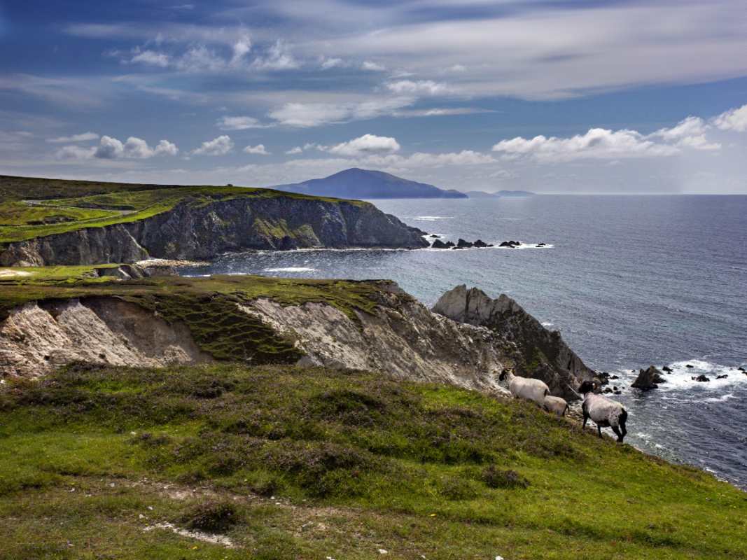 Programa “Our Living Islands”