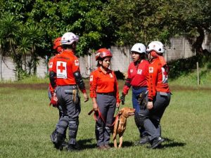 Nuevos equipos caninos se preparan para reforzar operaciones de rescate en emergencias.