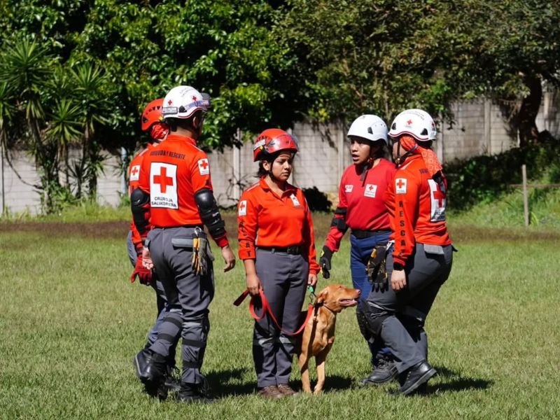 Nuevos equipos caninos se preparan para reforzar operaciones de rescate en emergencias.
