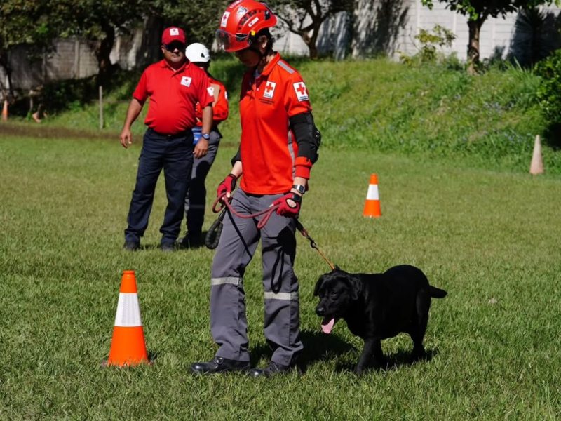 Binomios certificados se alistan para atender derrumbes, inundaciones y otras emergencias.