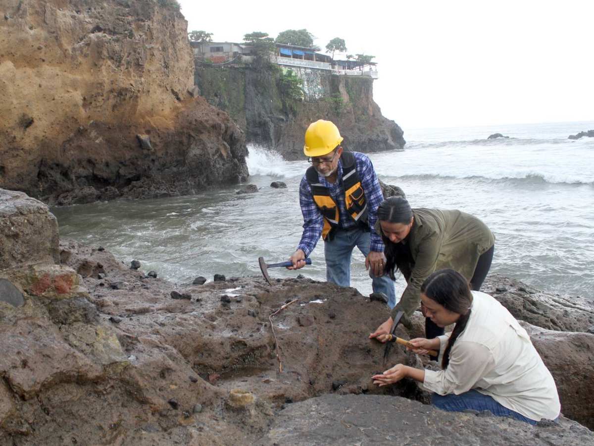 Futuros geólogos de la UES se especializan en tsunamis en universidades de Japón y México