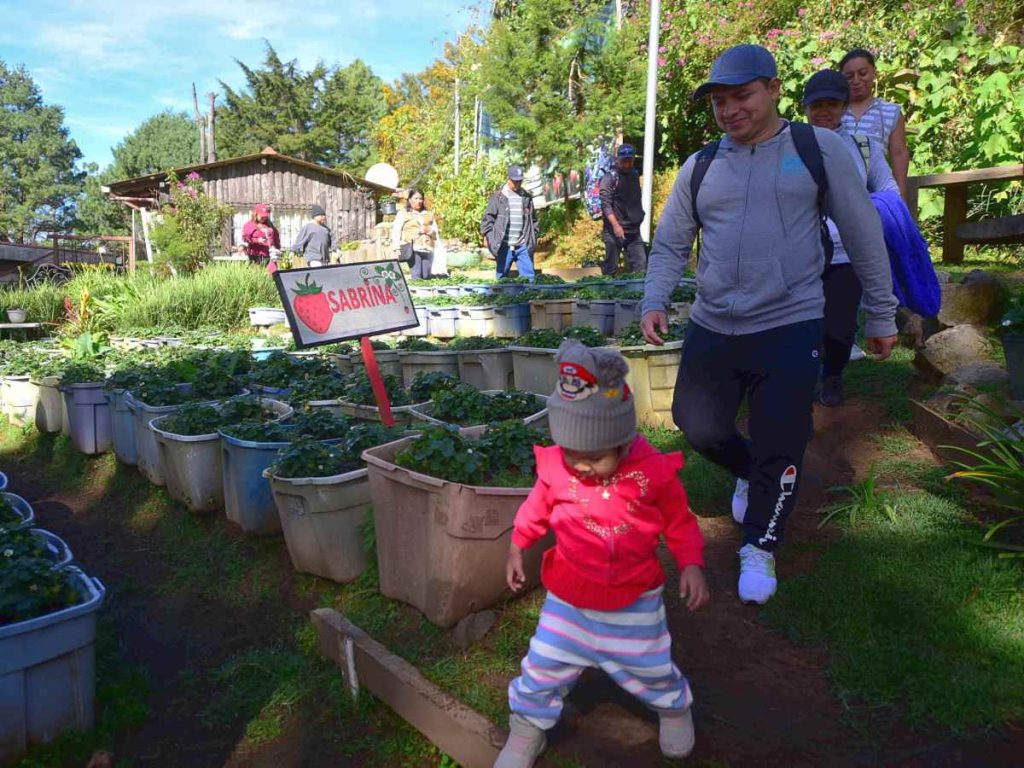 La Casa de las Fresas está ubicada en Miramundo, Chalatenango, a dos kilómetros del río Chiquito. elsalvador.com