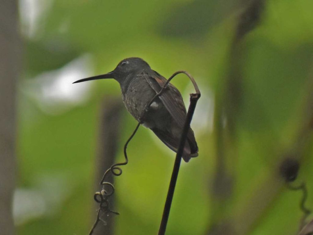 Ecoparque Santa Cruz La Vega