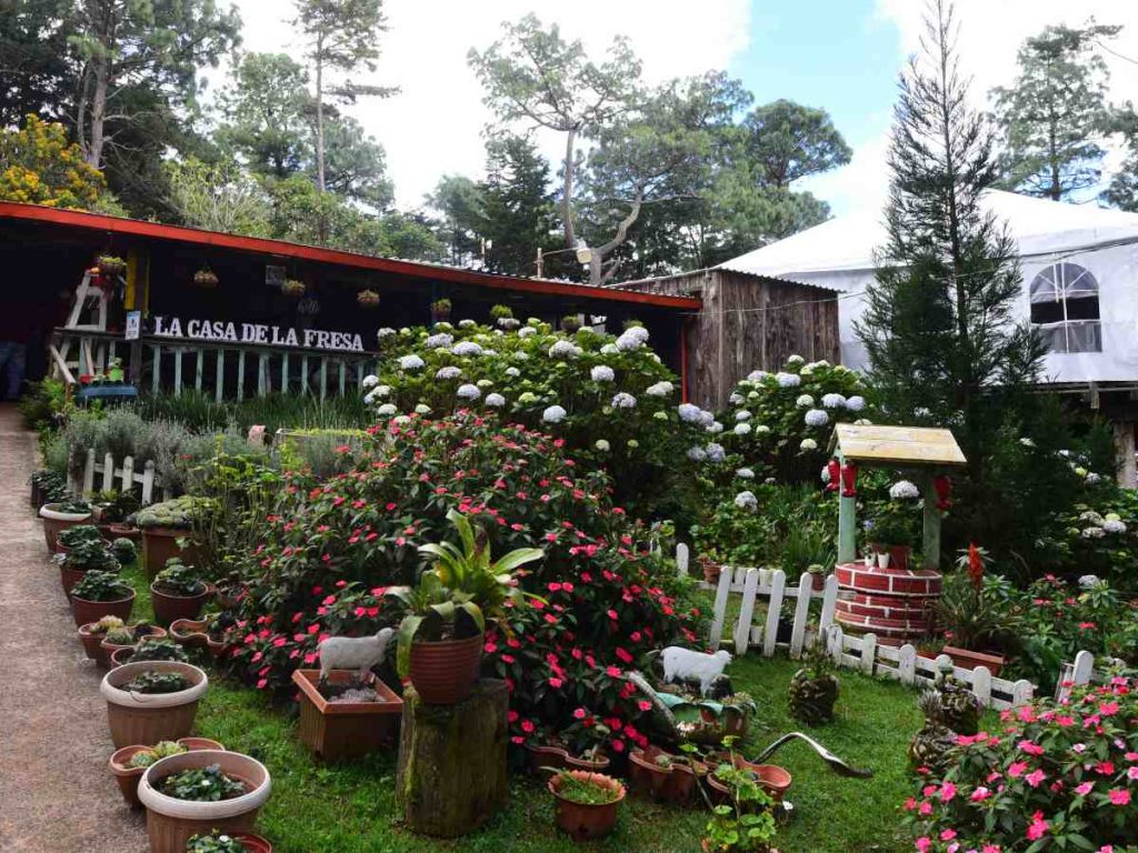 La Casa de las Fresas es el plan perfecto si buscás clima fresco, comida artesanal y una escapada diferente con sabor local.