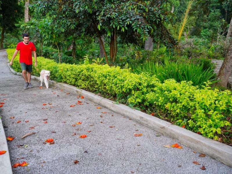 Un día en el parque puede incluir juegos, deporte, caminatas y momentos de descanso.