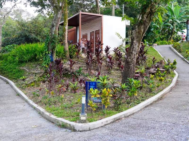 Un día en el parque puede incluir juegos, deporte, caminatas y momentos de descanso.