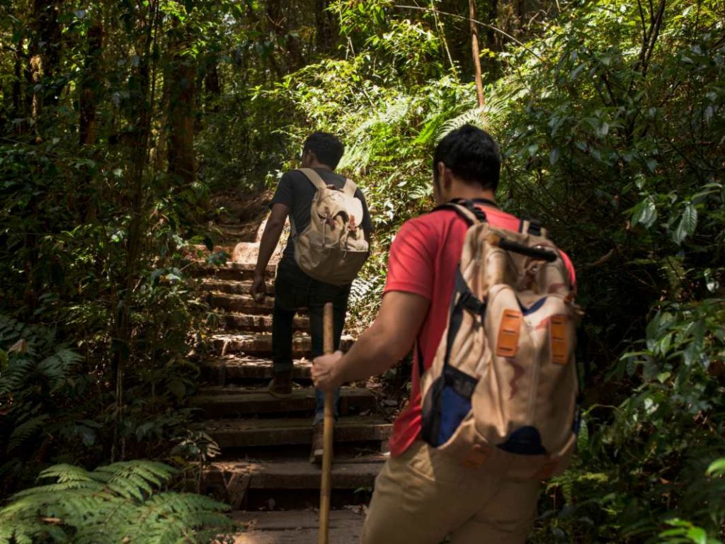 Prechequeo migratorio