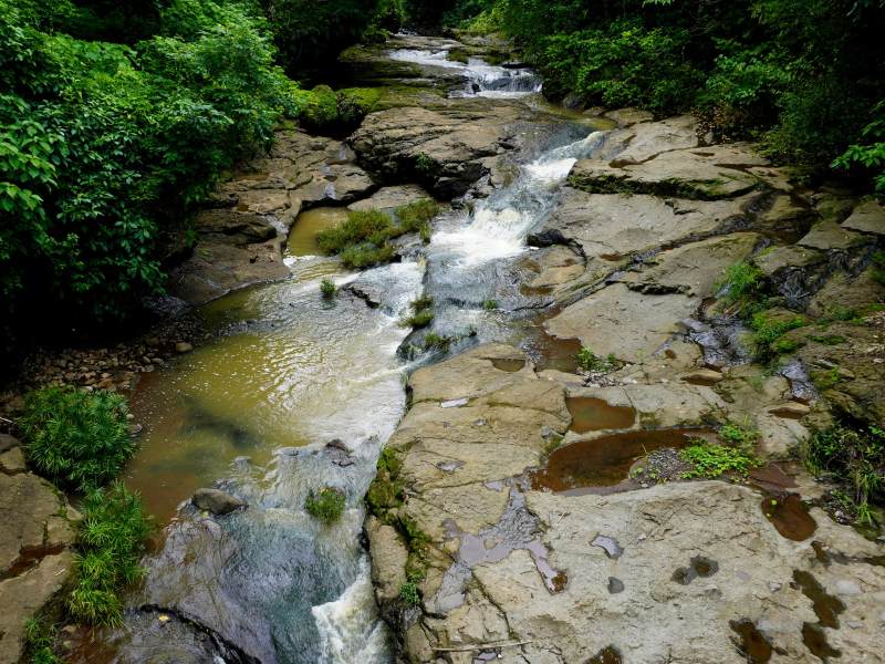 El silencio del bosque y el canto de las aves acompañan la experiencia en este refugio rural.