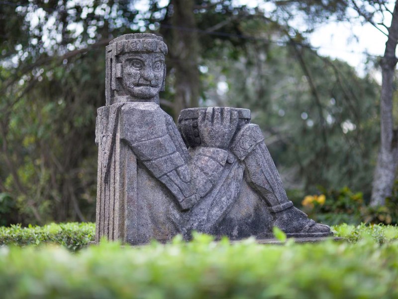 Espacios al aire libre ideales para compartir una tarde tranquila.