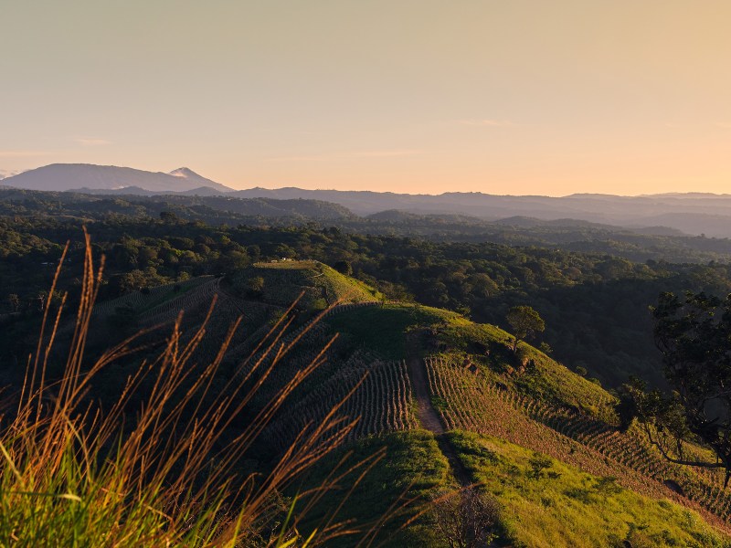 La caminata hacia el peñón es corta y accesible, ideal para una escapada de medio día.