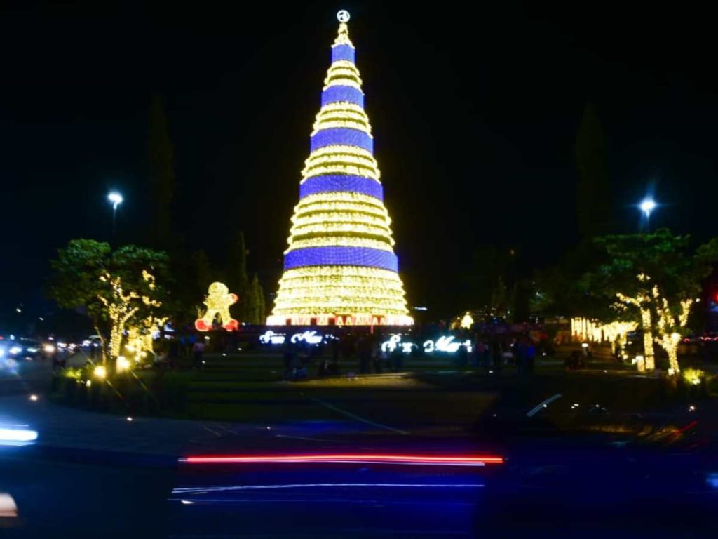 El árbol de 50 metros en la Plaza Salvador del Mundo ilumina las noches capitalinas con un espectáculo de color y emoción.