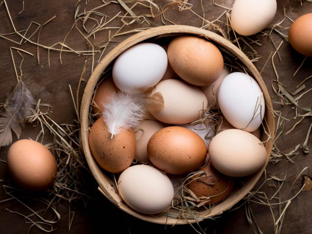Huevos blancos o marrones comparten valor nutricional; la diferencia está en la raza de la gallina. Al elegir, la frescura y el manejo son lo que realmente importa.