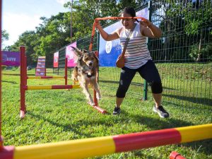 El parque cuenta con áreas y juegos especiales para que las mascotas puedan correr y ejercitarse en un ambiente seguro y familiar. Fotografía/ Alcaldía de San Salvador