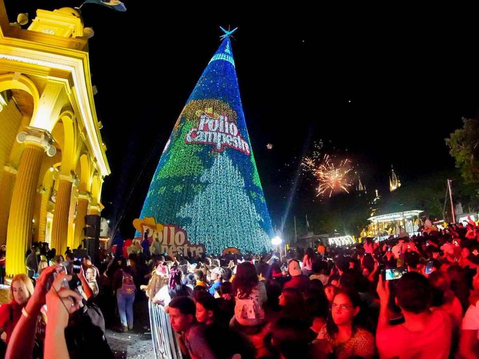 Arbol de Navidad Pollo Campestre El Salvador