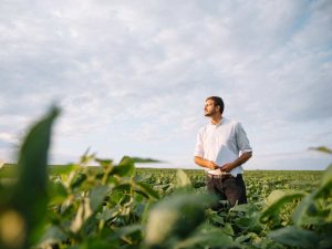 La soya sostenible proveniente de Estados Unidos se consolida como un insumo estratégico para la seguridad alimentaria en El Salvador,
