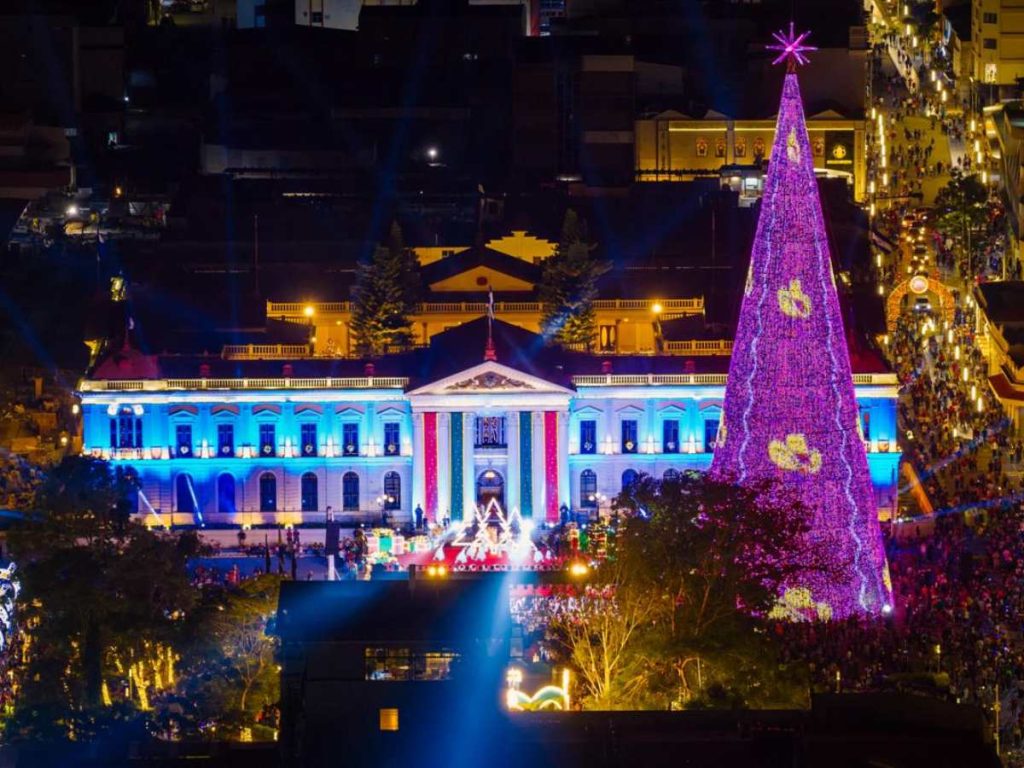 Arbol de Navidad Pollo Campestre El Salvador