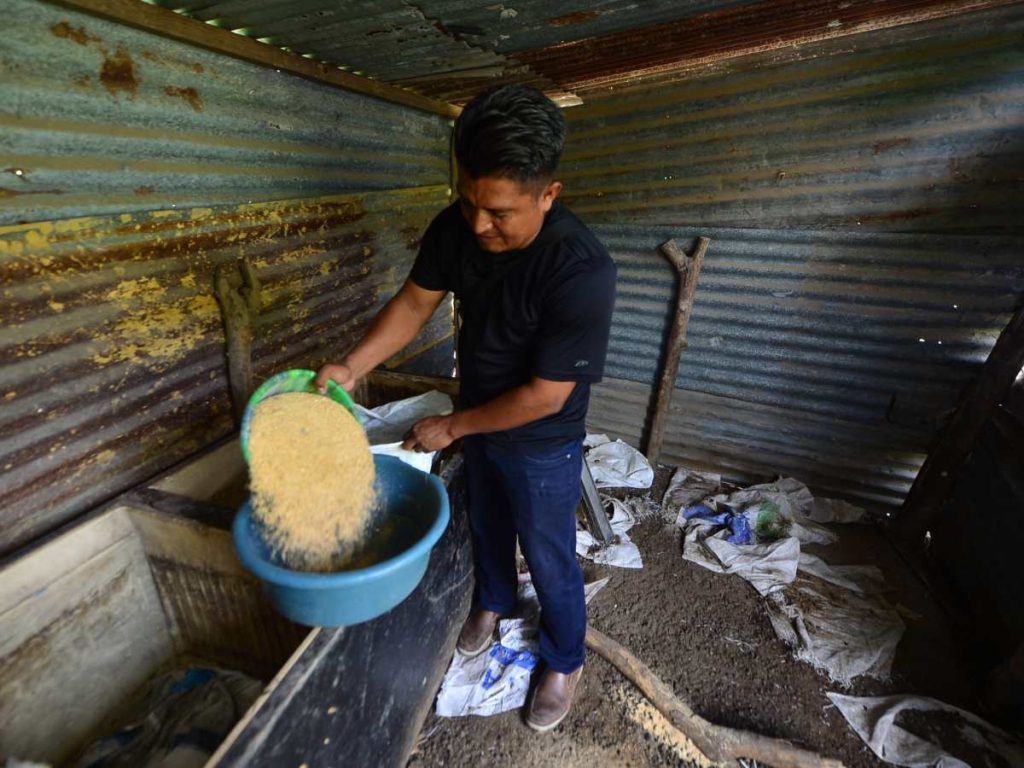 “Con esto mantengo a mi familia”, afirma mientras atiende a compradores.