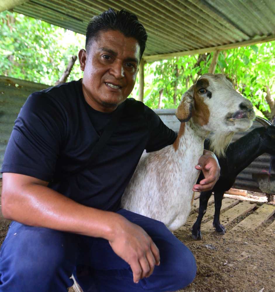 Muchos adultos mayores consumen la leche por tradición o recomendación médica.