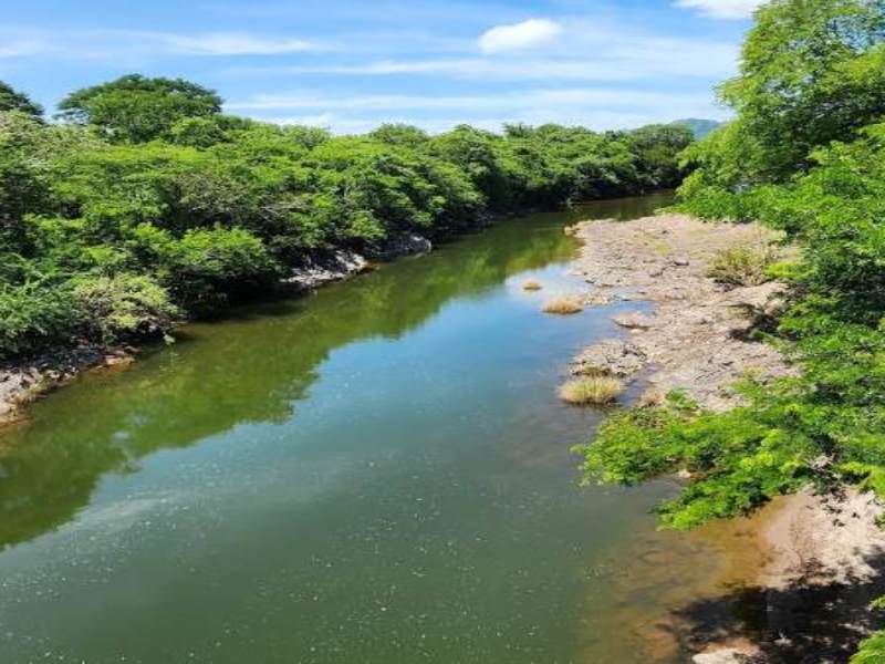 Más de 2,600 hectáreas de terreno fueron restauradas entre 2024 y 2025 en ocho distritos del municipio de La Unión Norte, como parte del proyecto RECLIMA, impulsado por la FAO y Fundación Campo con financiamiento del Fondo Verde del Clima. Las acciones priorizaron áreas con recarga hídrica e incluyeron siembra de árboles, conservación de suelos y mejoras en la infiltración de agua. Según los responsables, más de 2,000 personas participaron en el proceso. El proyecto busca recuperar zonas degradadas del Corredor Seco y ya ha intervenido en 114 distritos a nivel nacional con enfoque ambiental y comunitario.