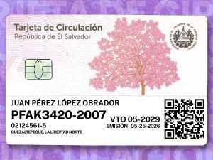 noticias-nacionales-tarjeta de circulacion-01