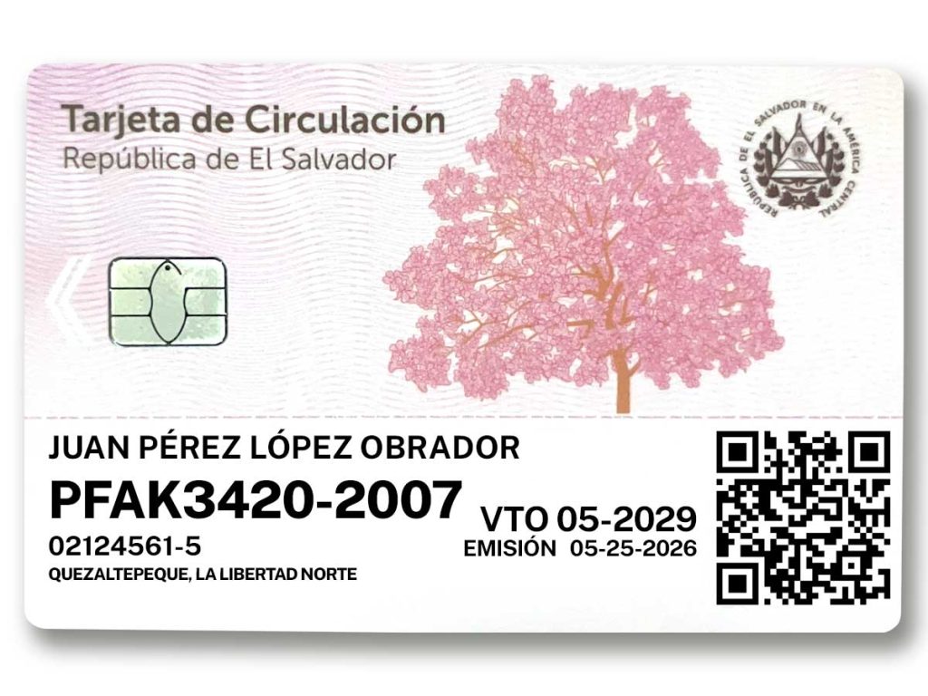 El nuevo diseño de la tarjeta de circulación 2026 incorpora el maquilishuat, un símbolo del verano y la identidad salvadoreña