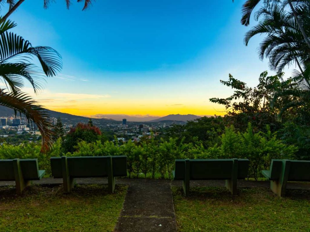 Las áreas verdes y zonas de pinos crean un ambiente propicio para la pausa y la introspección.