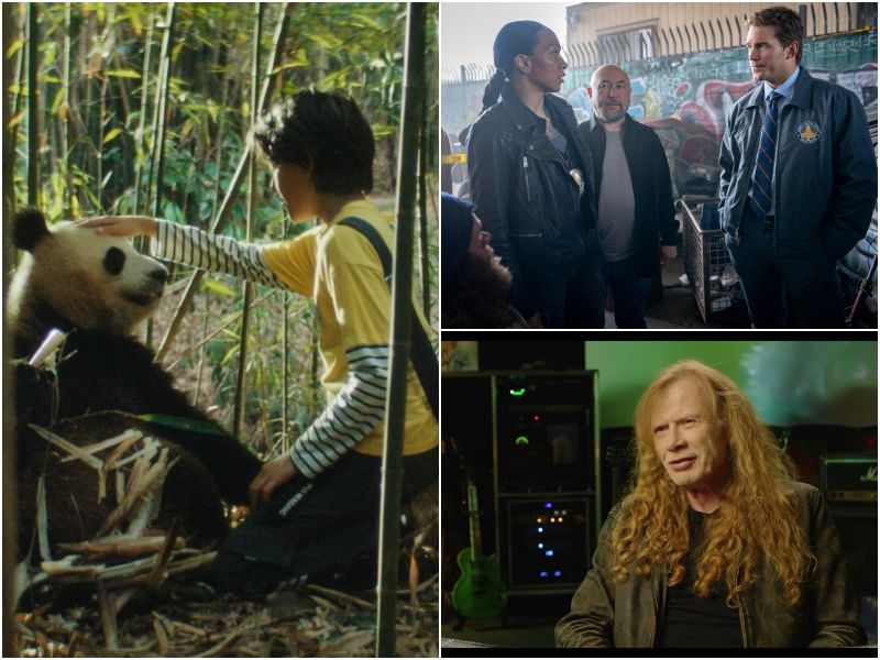 Los nuevos estrenos de cine en El Salvador incluyen acción, animación y documental.