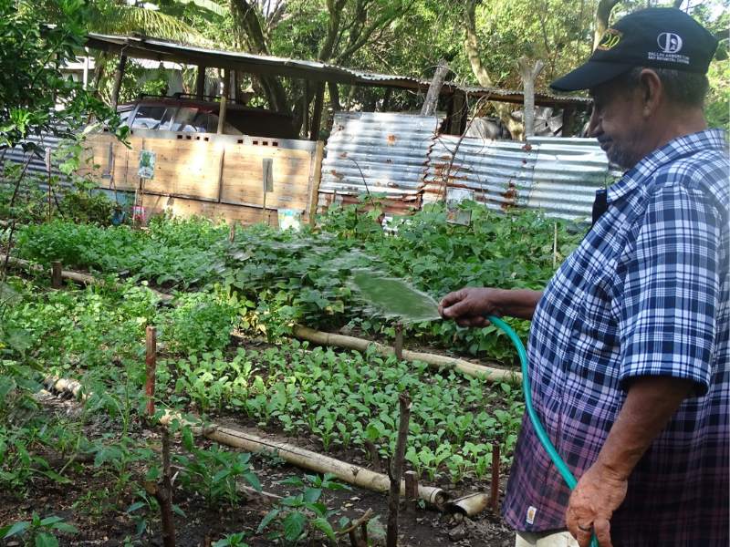 Niños, adultos y personas mayores participan activamente en el huerto comunitario, fortaleciendo la convivencia y el trabajo colectivo en San Marcos.
