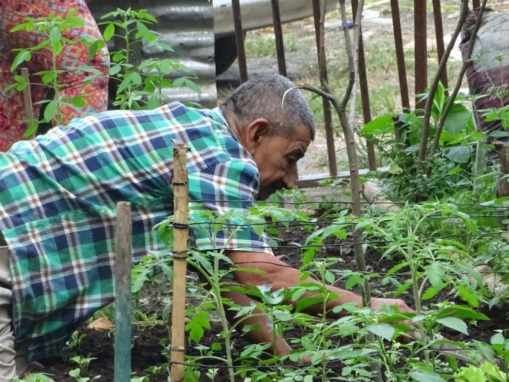 Vecinos de la comunidad San Juan Bosco II participaron en la limpieza y recuperación del terreno donde ahora cultivan hortalizas para consumo familiar.