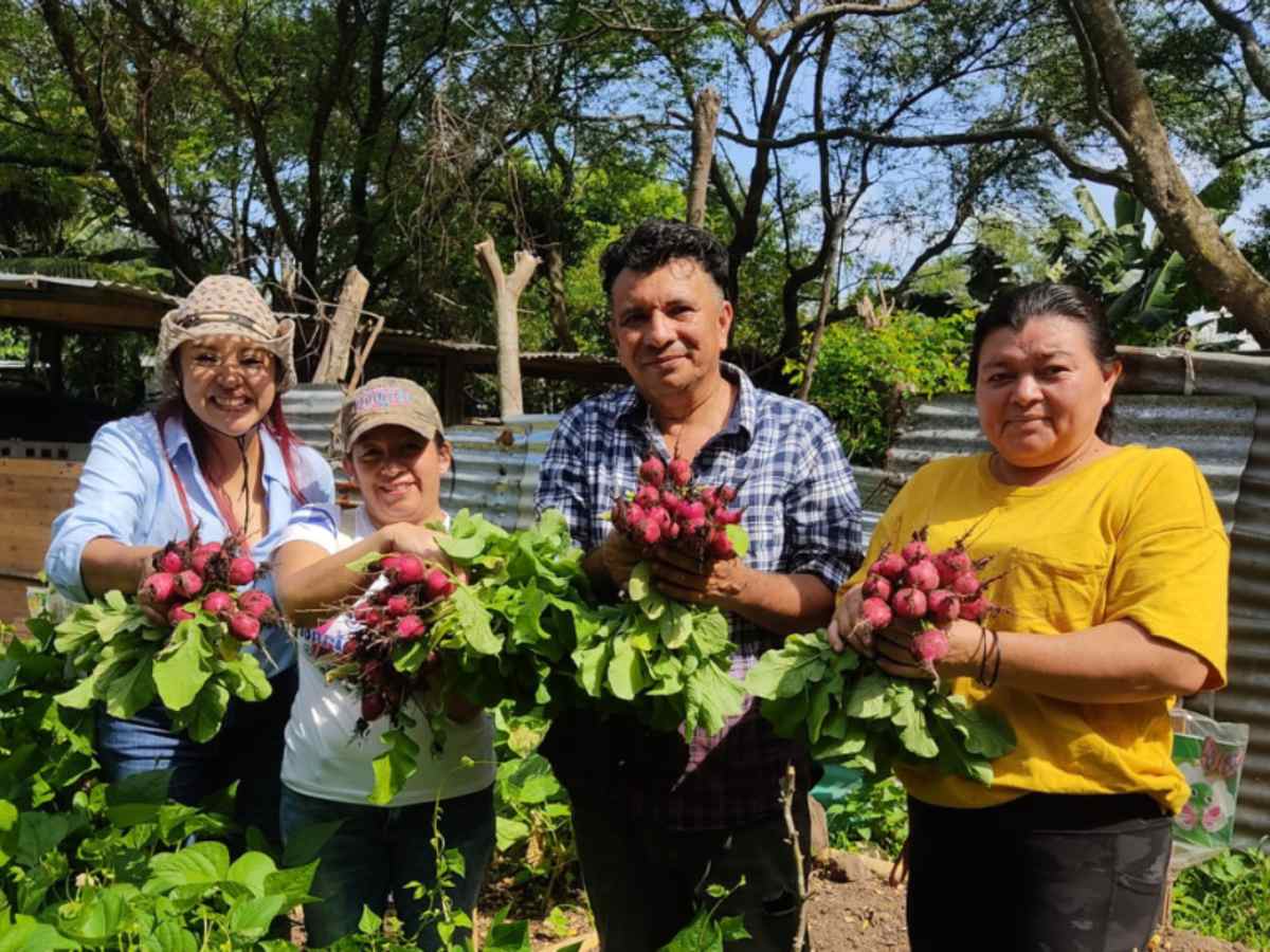 De terreno baldío a huerto comunitario: así cultivan alimentos en San Marcos