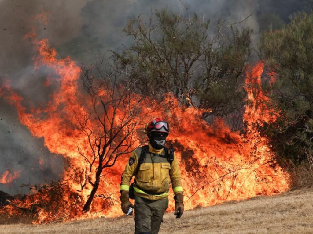 Incendios forestales en Europa y Norteamérica se intensificaron en 2025, un fenómeno que los científicos asocian al aumento de temperaturas provocado por el cambio climático. Fotografía/ cortesía