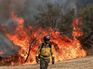 Incendios forestales en Europa y Norteamérica se intensificaron en 2025, un fenómeno que los científicos asocian al aumento de temperaturas provocado por el cambio climático. Fotografía/ cortesía