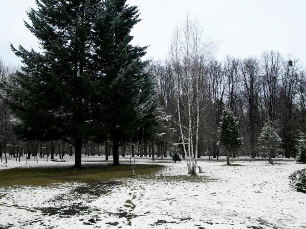 En ciudades como Nueva York y Washington se esperan nevadas significativas y frío extremo durante el fin de semana, con posibles afectaciones al tránsito y los servicios. Fotografía de referencia/ Freepik