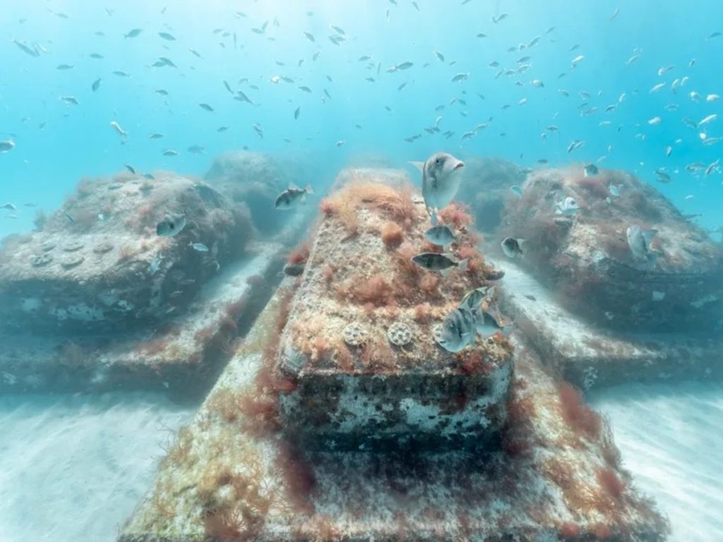 Tres coches de hormigón sumergidos integran una autopista marina creada para atraer corales y fauna, como parte del proyecto Reefline frente a Miami Beach. .