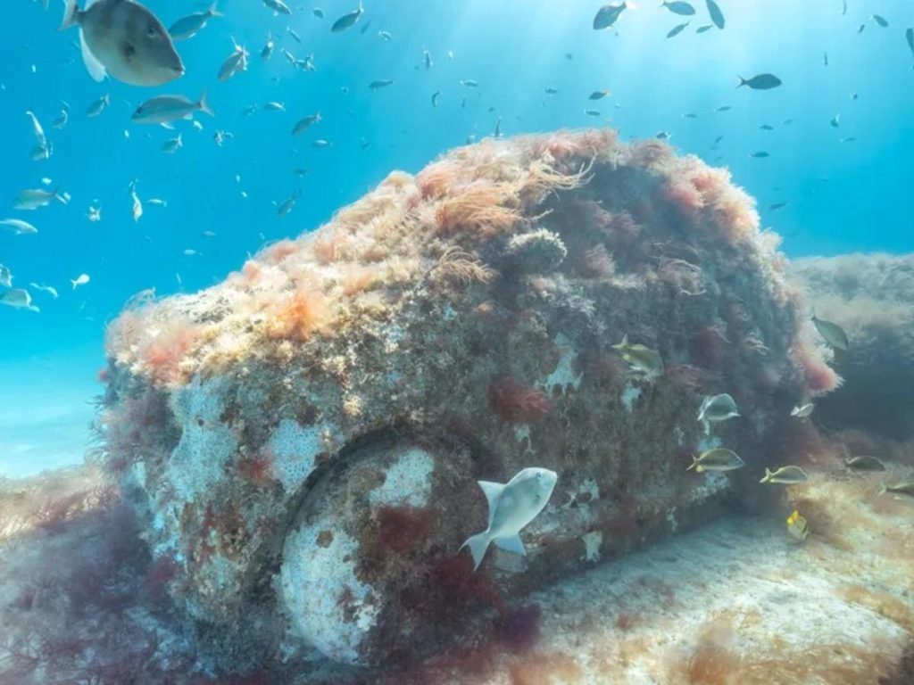 Uno de los coches de hormigón sumergidos que integra una autopista marina diseñada para atraer corales y favorecer la recuperación de fauna. 