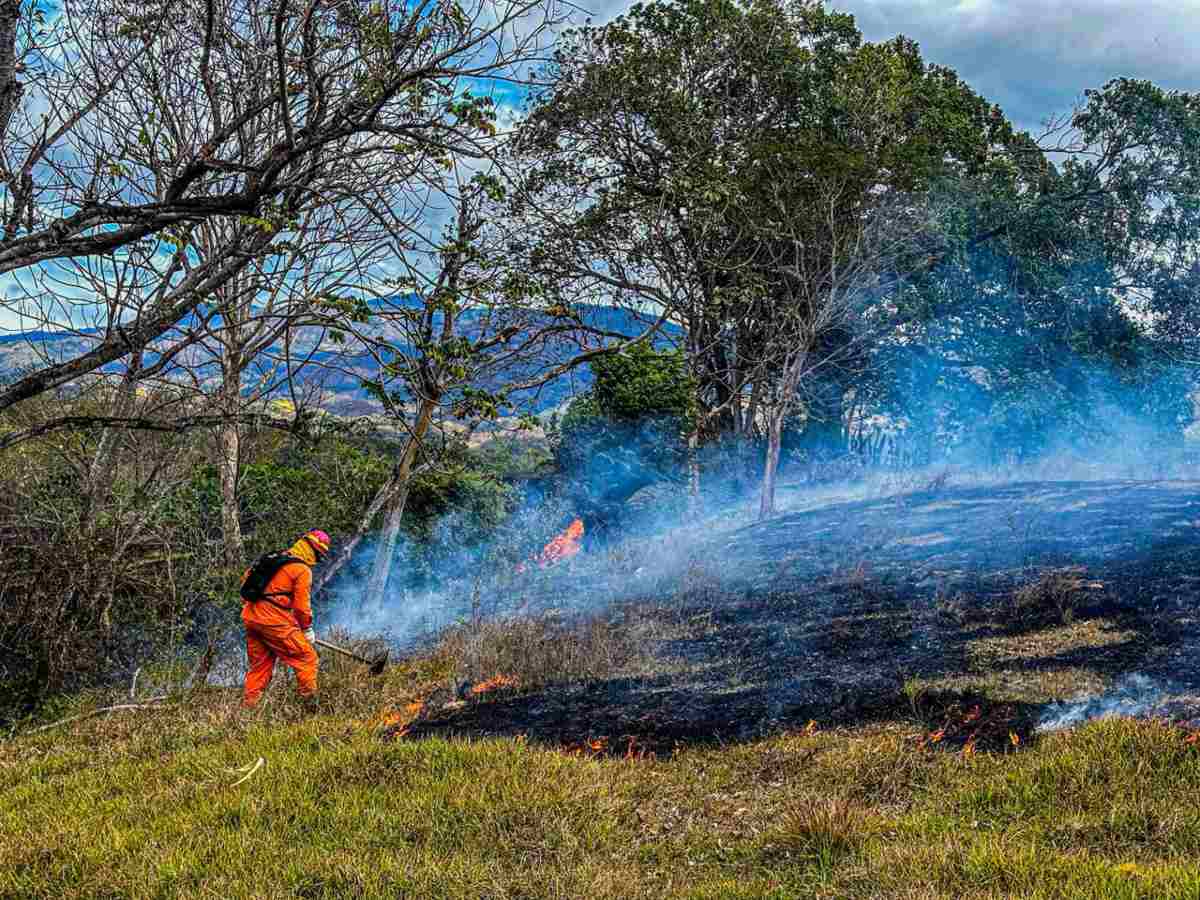 El director del Cuerpo de Bomberos, Baltazar Solano, informó que los incendios en El Salvador han aumentado un 57 % en lo que va de 2026, con más de 600 emergencias atendidas solo en enero.