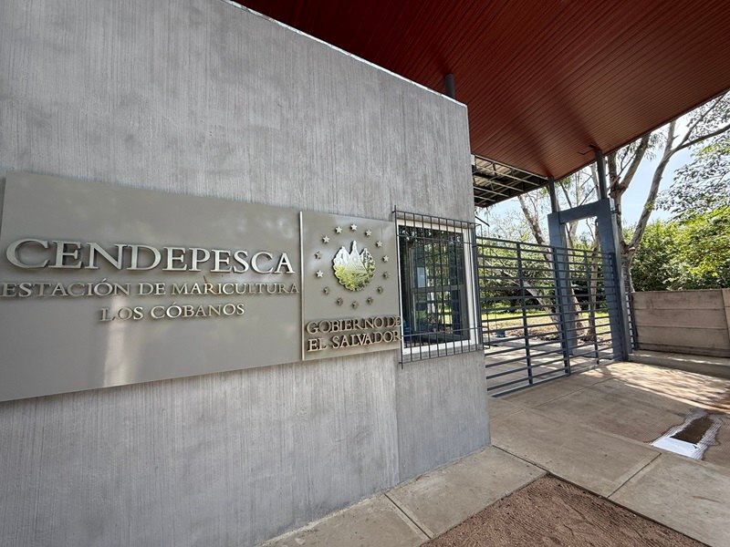 Gobierno propone crear ASEA para sustituir a CENDEPESCA en El Salvador