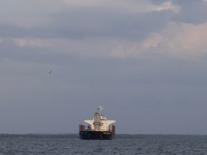 Venezuela posee las mayores reservas de petróleo del mundo, aunque su producción está por debajo de su potencial.