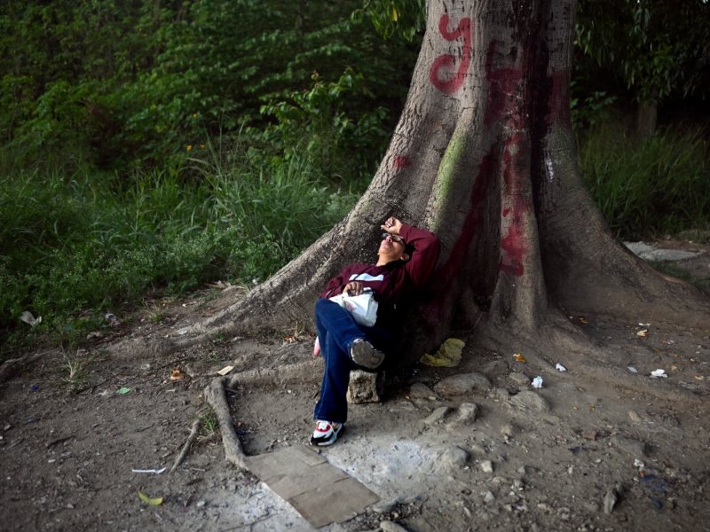 El familiar de un recluso toma una siesta en un árbol mientras espera noticias sobre la liberación de prisioneros, afuera de la prisión El Rodeo I en Guatire, estado Miranda, a unos 30 kilómetros al este de Caracas el 12 de enero de 2026.
