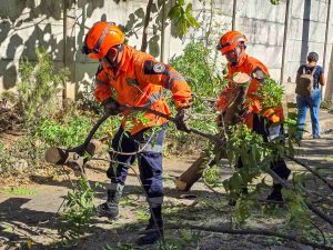 Estos son los más de 50 daños que han dejado los fuertes vientos en el país, según Protección Civil