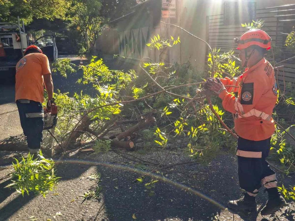 Las autoridades mantienen la vigilancia y evalúan nuevas alertas ante posibles ráfagas extremas hacia finales de enero e inicios de febrero.