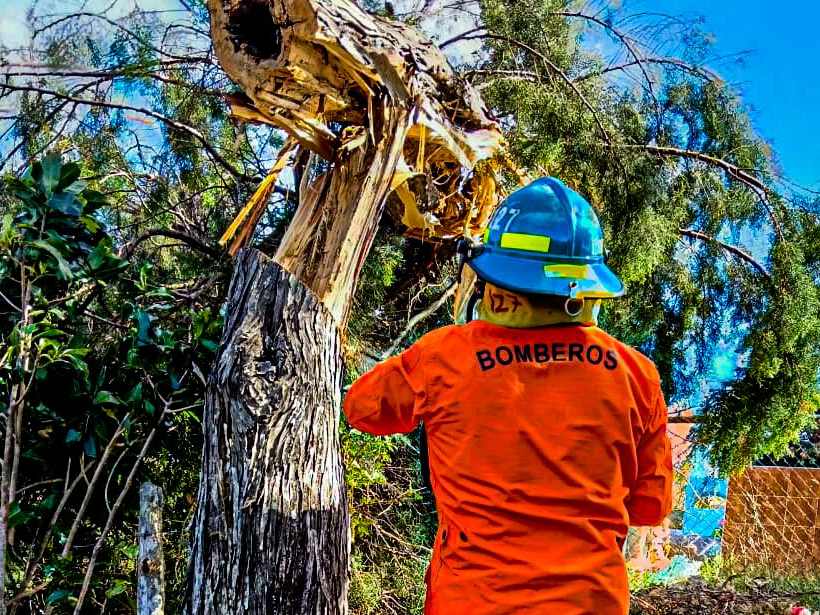 También recomendó no podar árboles sin asistencia técnica. Aunque los vientos han disminuido, se prevé que continúen en los próximos días.