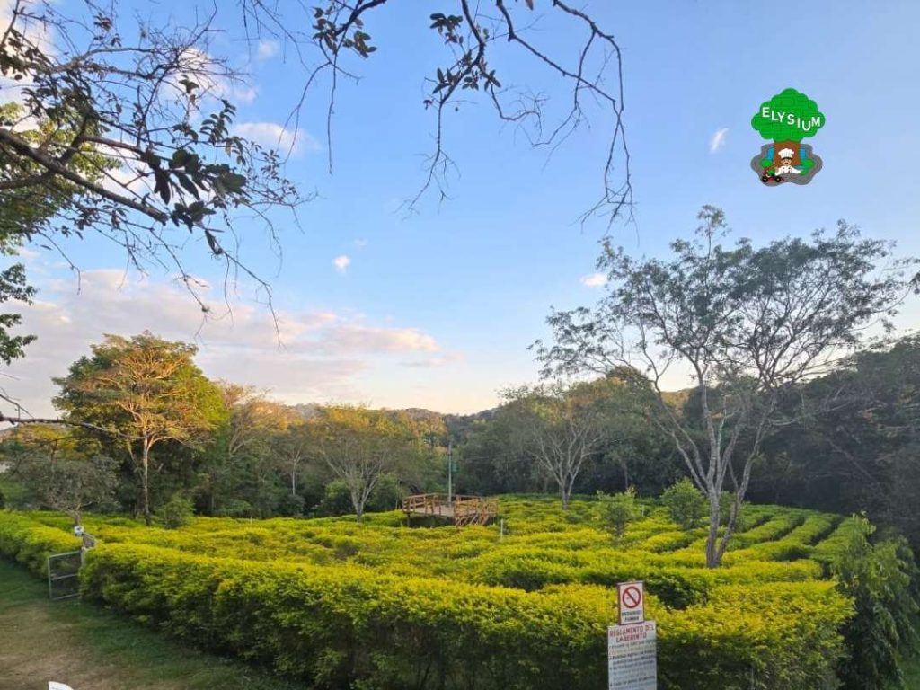 Velocidad, diversión y aventura hacen de Elysium 1 el plan perfecto en Cuscatlán.