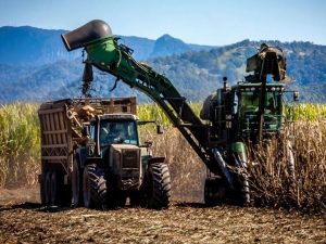 Asamblea aprueba modificación al presupuesto 2026 para financiar con más de $1 millón al Consejo Azucarero