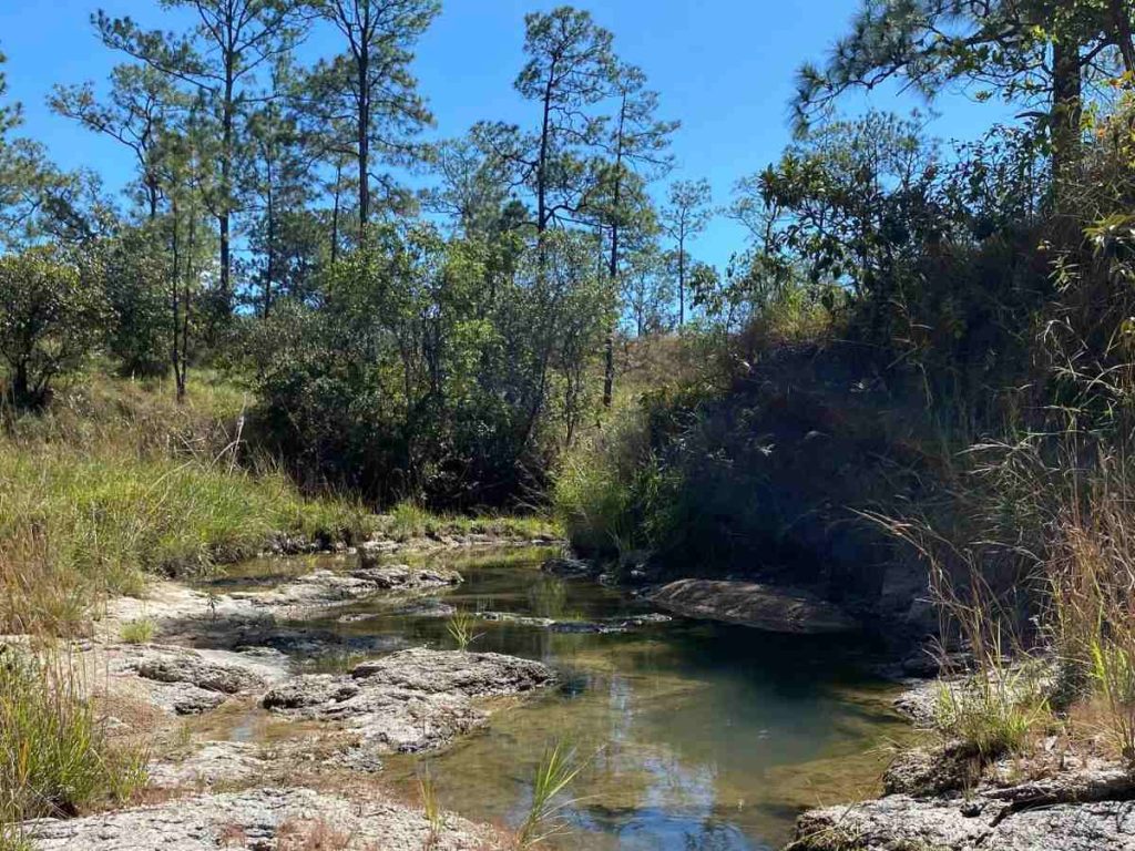 Quebradas y corrientes de agua atraviesan el Llano del Muerto, formando paisajes naturales perfectos para el descanso, la fotografía y el contacto con la naturaleza.