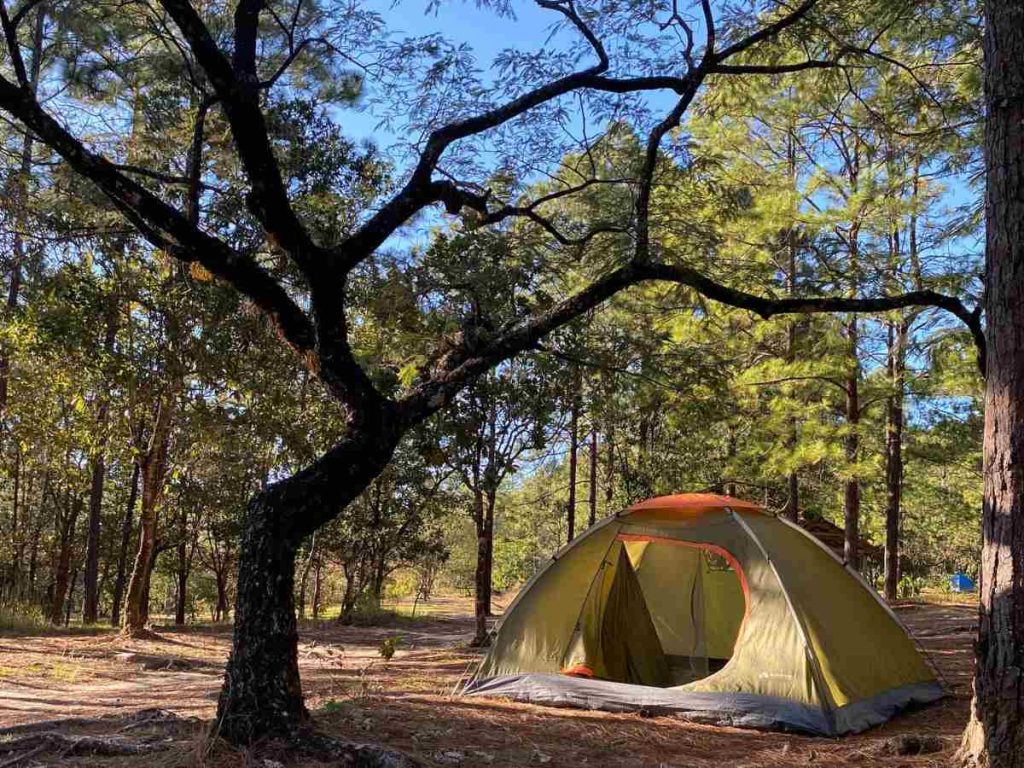 Área de camping en el Llano del Muerto, un espacio rodeado de bosques de pino ideal para disfrutar de la naturaleza y el clima fresco de Perquín, Morazán.
